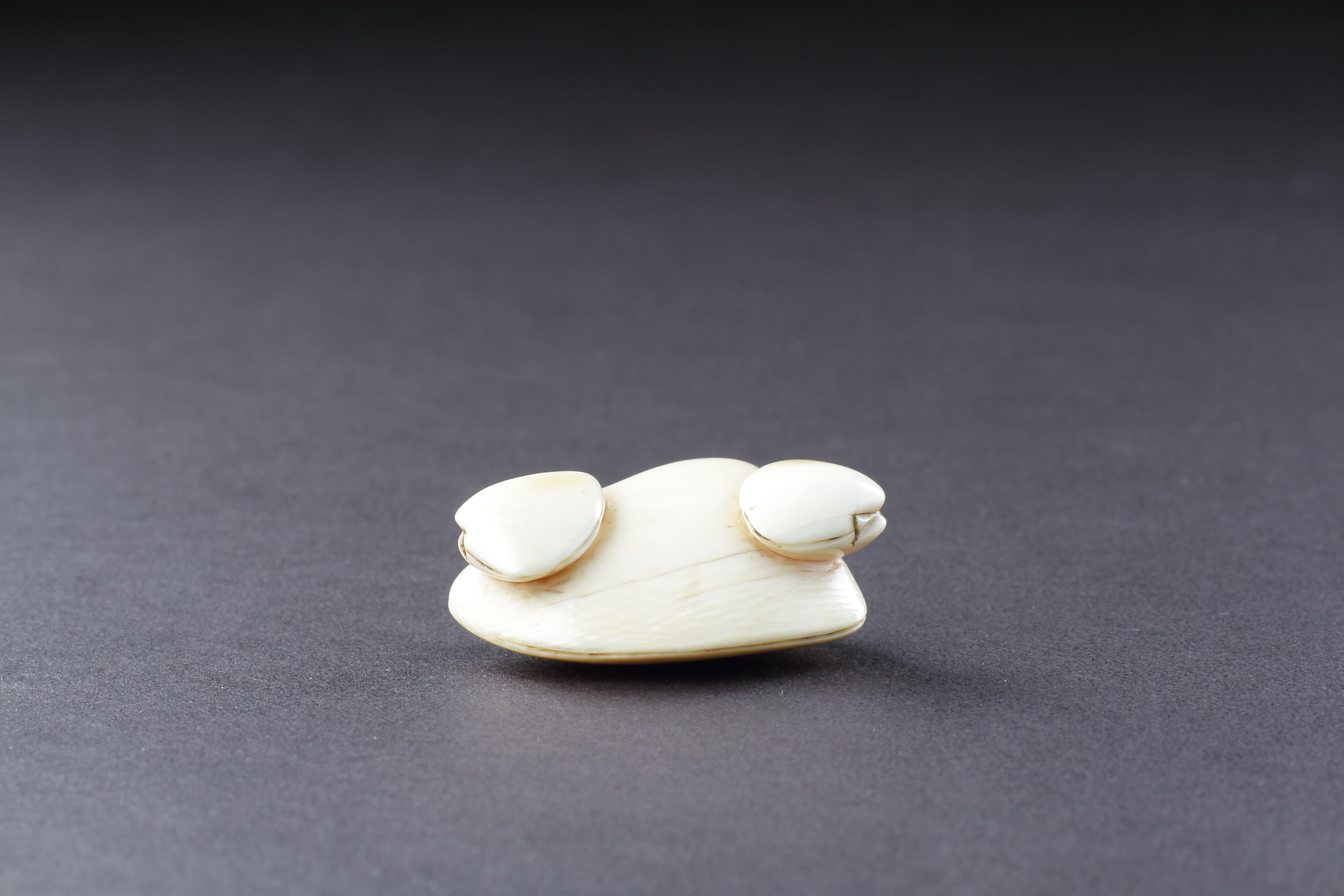 Japanese Ivory Netsuke of an Attractive Shell Group of Three Venus Clams